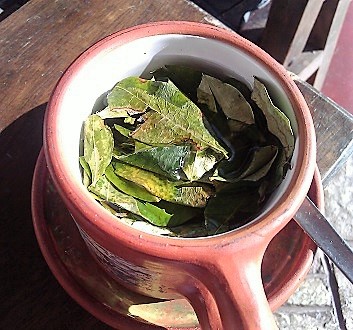 Peru, Mate de Coca Tea