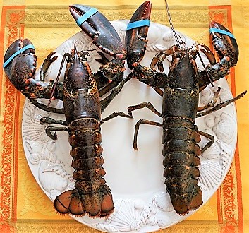 Lobsters