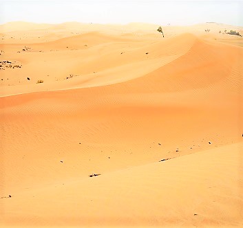 UAE, Abu Dhabi, Desert
