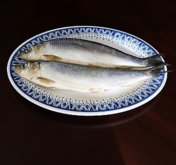 Herring