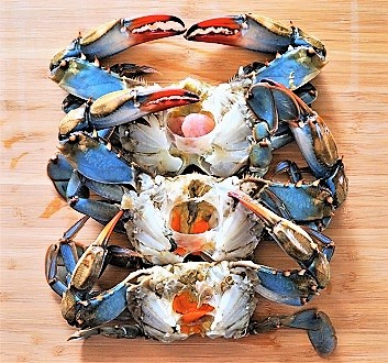 Blue Crabs