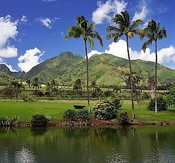 USA, Hawaii, Maui, Maui Tropical Plantation