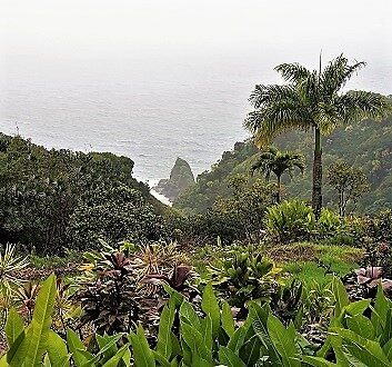 USA, Hawaii, Maui, Garden of Eden Arboretum