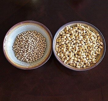 Dried Soybeans, Soaked Soybeans
