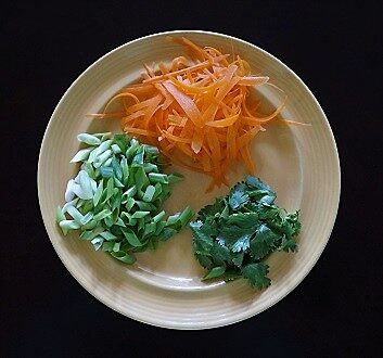 Green Onion, Carrot, Cilantro