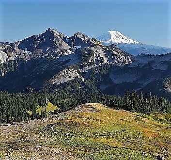USA, Pacific Northwest, Mount Rainier National Park