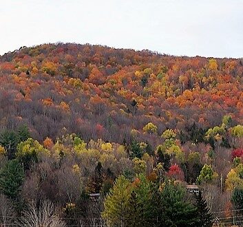 USA, Vermont, Autumn Foliage