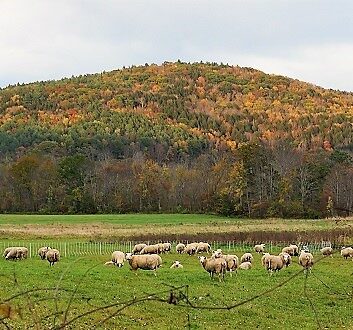 USA, Vermont, Countryside