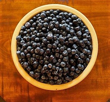 Wild Forest Blueberries